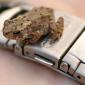 Detail / Microstock